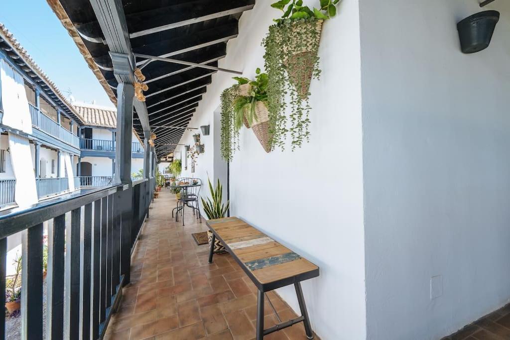 New Apartment In Traditional Building Of The XVI Century إشبيلية المظهر الخارجي الصورة